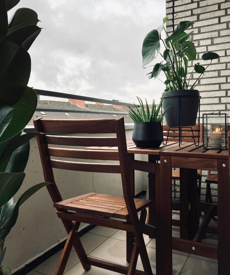 Schickes, Stilvolles Und Helles Apartment In Muenster Eksteriør billede